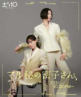 【日本剧】绝密的密子小姐