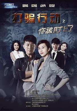 【国产剧】打骗行动之你被盯上了